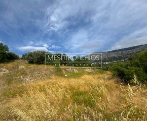 Οικόπεδο 1.078,08 τ.μ. πρός πώληση, Ν. Χίου, Χίος-thumb-20