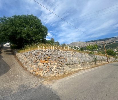 Οικόπεδο 791,19τ.μ. για πώληση-Χίος » Ομηρούπολη