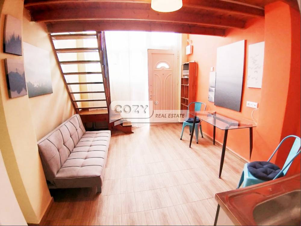 Loft 30 τ.μ. προς ενοικίαση, Δόξα