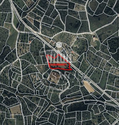 Οικόπεδο 7.790 τ.μ. για πώληση, Εύβοια, Κύμη