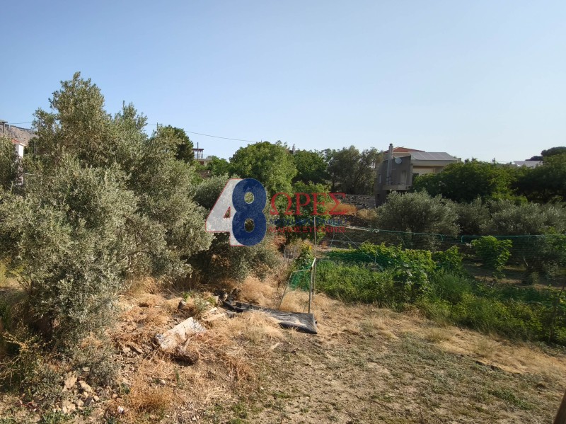 Οικόπεδο 617 τ.μ. προς πώληση, Ομηρούπολη