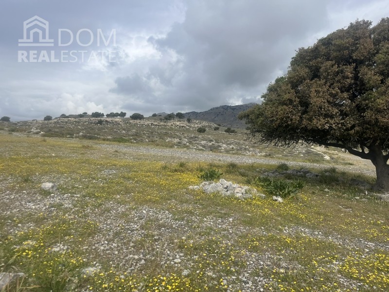 Αγροτεμάχια 68.655 τ.μ. πρός πώληση, Δωδεκάνησα, Ρόδος