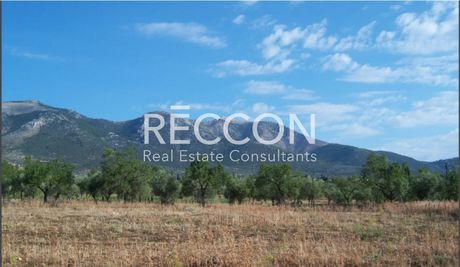 Land plot 8.099sqm for sale-Amarinthos » Gimno