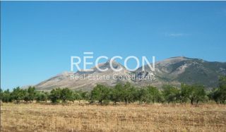 Οικόπεδο 8.099 τ.μ. για πώληση, Εύβοια, Αμάρυνθος-thumb-3