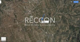 Οικόπεδο 8.099 τ.μ. για πώληση, Εύβοια, Αμάρυνθος-thumb-1