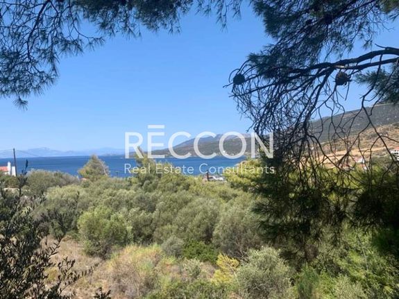 Οικόπεδο 512 τ.μ. για πώληση, Εύβοια, Μαρμάρι