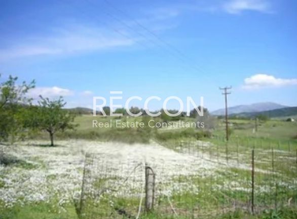 Οικόπεδο 2.050 τ.μ. για πώληση, Εύβοια, Δύστος