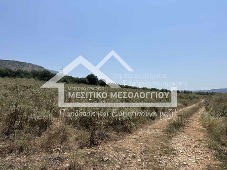 Αγροτεμάχια 9.145τ.μ. για πώληση-Αμφιλοχία