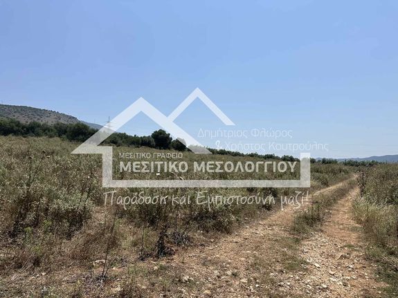 Αγροτεμάχια 9.145 τ.μ. για πώληση, Αιτωλοακαρνανία, Αμφιλοχία