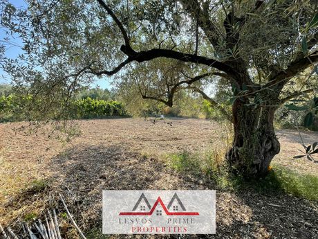 Land plot 1.893sqm for sale-Lesvos - Geras