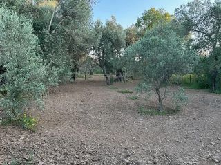 Οικόπεδο 1.893 τ.μ. προς πώληση, Γέρα Λέσβου-thumb-6