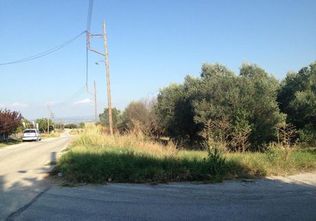 Οικόπεδο 3.161 τ.μ. προς ενοικίαση