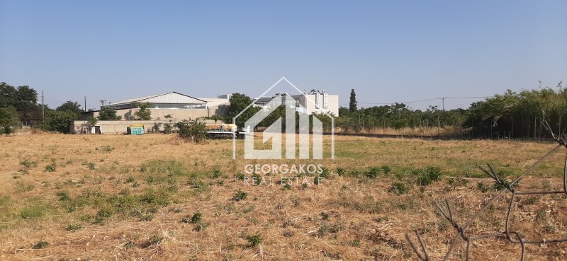 Οικόπεδο 6.677 τ.μ. προς πώληση, Λαχανόκηποι Θεσσαλονίκης