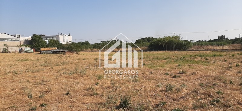 Οικόπεδο 6.677 τ.μ. προς πώληση, Λαχανόκηποι Θεσσαλονίκης