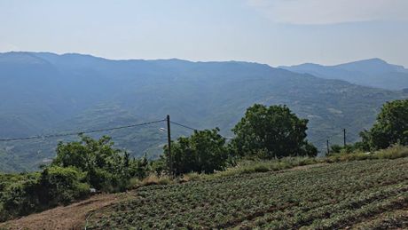 Οικόπεδο 5.000 τ.μ. για πώληση