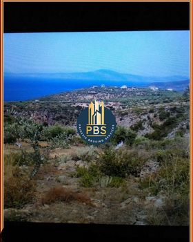 Οικόπεδο 12.000τ.μ. για πώληση-Λεύκτρος