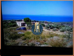 Οικόπεδο 12.000 τ.μ. για πώληση, Μεσσηνία, Λεύκτρος-thumb-2