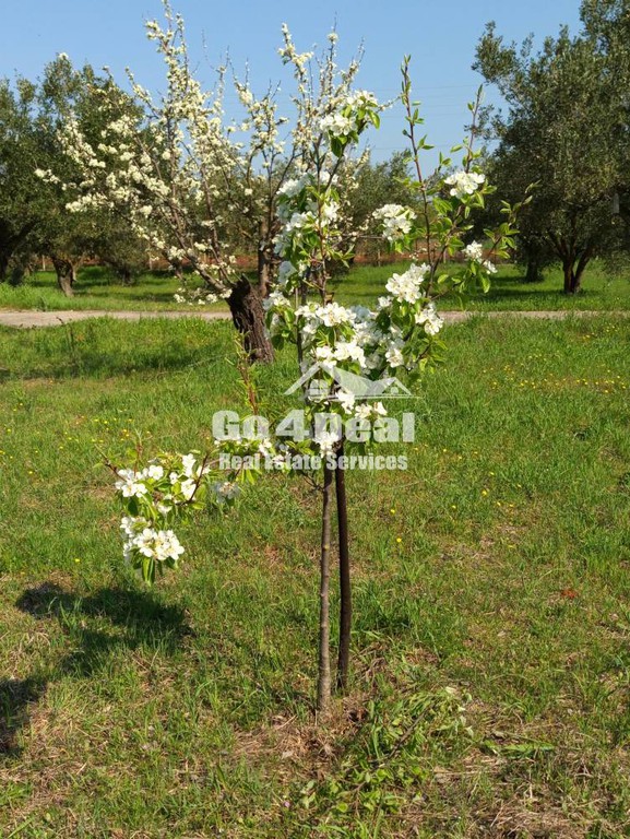 Βίλλα 400 τ.μ. πρός ενοικίαση, Θεσσαλονίκη - Περιφ/Κοί Δήμοι, Επανομή
