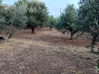 Οικόπεδο 2.473 τ.μ. για πώληση, Μεσσηνία, Αρφαρά-thumb-4