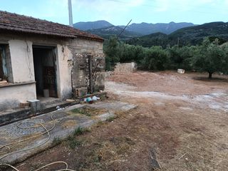 Οικόπεδο 2.473 τ.μ. για πώληση, Μεσσηνία, Αρφαρά-thumb-10