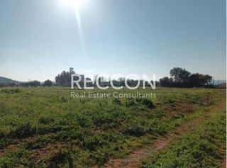 Αγροτεμάχια 13.000 τ.μ. για πώληση, Μεσσηνία, Αυλώνα-thumb-1