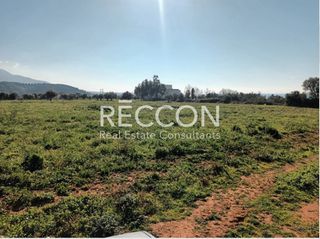 Αγροτεμάχια 13.000 τ.μ. για πώληση