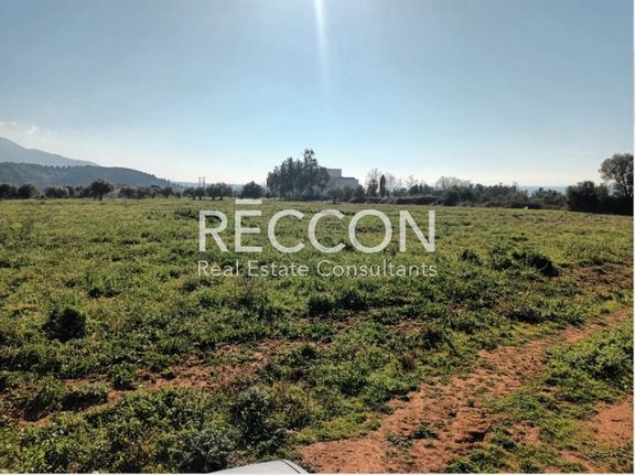 Αγροτεμάχια 13.000 τ.μ. για πώληση, Μεσσηνία, Αυλώνα