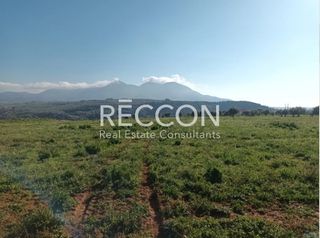 Αγροτεμάχια 13.000 τ.μ. για πώληση, Μεσσηνία, Αυλώνα-thumb-3