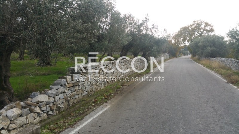 Οικόπεδο 1.550 τ.μ. προς πώληση, Αγία Άννα Νάξου
