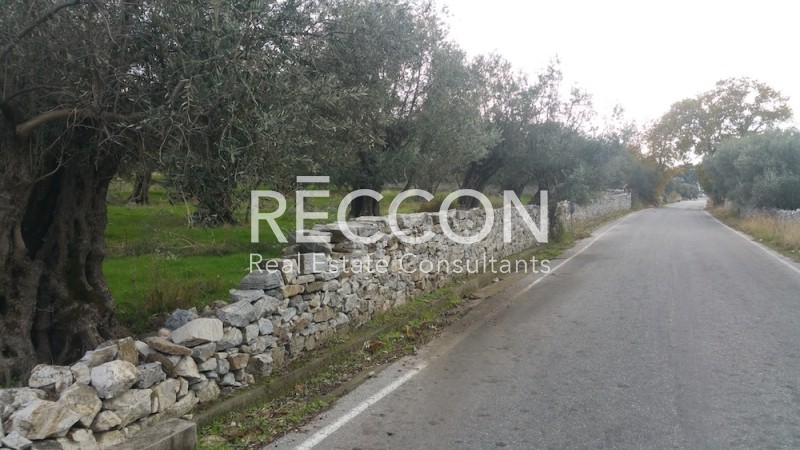 Οικόπεδο 1.550 τ.μ. προς πώληση, Αγία Άννα Νάξου