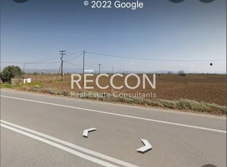 Parcel 22.000sqm for sale-ΚOronias