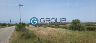 Αγροτεμάχια 4.800 τ.μ. για πώληση, Ν. Ροδόπης, Μαρώνεια-thumb-3