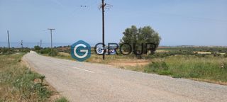 Αγροτεμάχια 4.800 τ.μ. για πώληση, Ν. Ροδόπης, Μαρώνεια-thumb-2