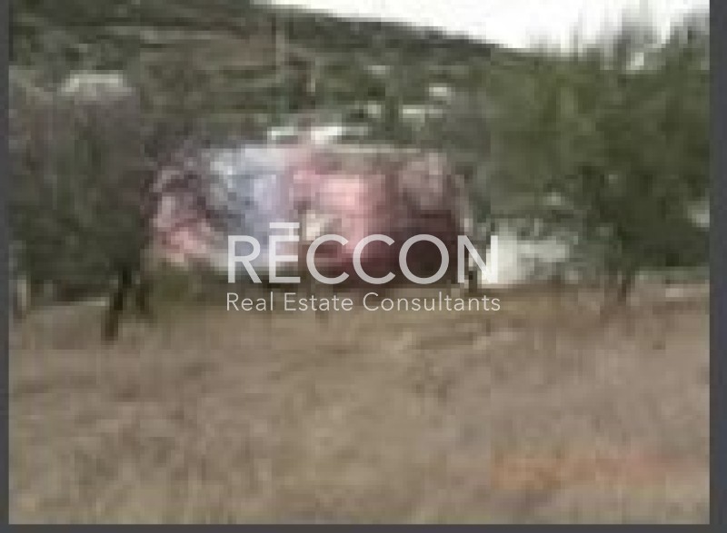 Οικόπεδο 924 τ.μ. προς πώληση, Άνω Σύρος
