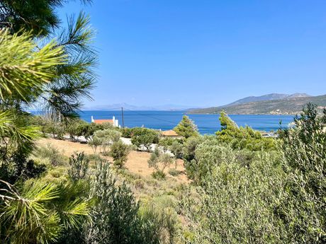 Οικόπεδο 500τ.μ. για πώληση-Μαρμάρι
