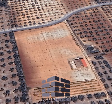 Parcel 6.400 sqm for sale, Corinthia, Vocha
