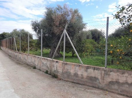 Οικόπεδο 1.000τ.μ. για πώληση-Διακοπτό » Λόφος