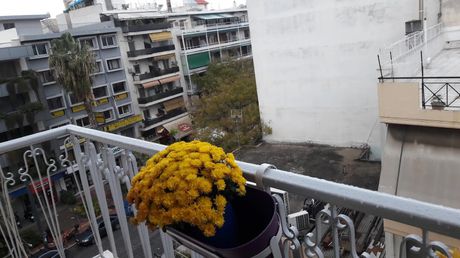 Διαμέρισμα 52τ.μ. για πώληση-Άνω πατήσια » Κλωναρίδου