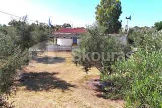 Μονοκατοικία 25 τ.μ. για πώληση, Μεσσηνία, Καλαμάτα-thumb-25