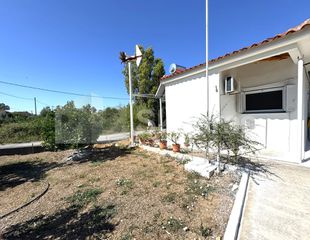 Μονοκατοικία 25 τ.μ. για πώληση, Μεσσηνία, Καλαμάτα-thumb-7