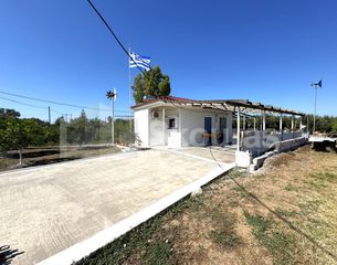 Μονοκατοικία 25 τ.μ. για πώληση, Μεσσηνία, Καλαμάτα-thumb-2