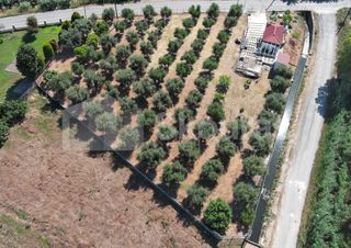 Μονοκατοικία 25 τ.μ. για πώληση, Μεσσηνία, Καλαμάτα-thumb-1