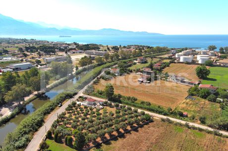 Μονοκατοικία 25τ.μ. για πώληση-Καλαμάτα