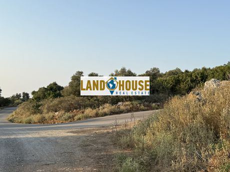 Αγροτεμάχια 4.000τ.μ. για πώληση-Νικηφόρος φωκάς