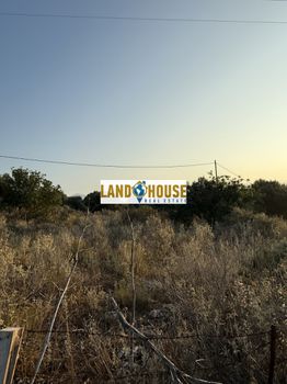 Αγροτεμάχια 25.000τ.μ. για πώληση-Νικηφόρος φωκάς