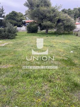 Οικόπεδο 1.070 τ.μ. για πώληση