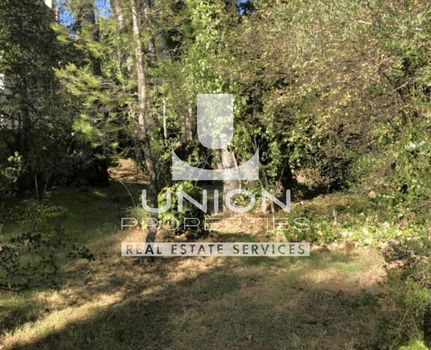 Land plot 800sqm for sale-Rodopoli