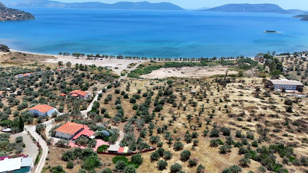 Αγροτεμάχια 8.504,29 τ.μ. πρός πώληση, Αργολίδα, Ερμιόνη