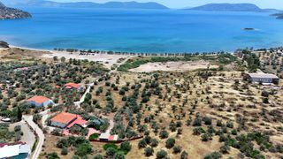 Αγροτεμάχια 8.504,29 τ.μ. για πώληση