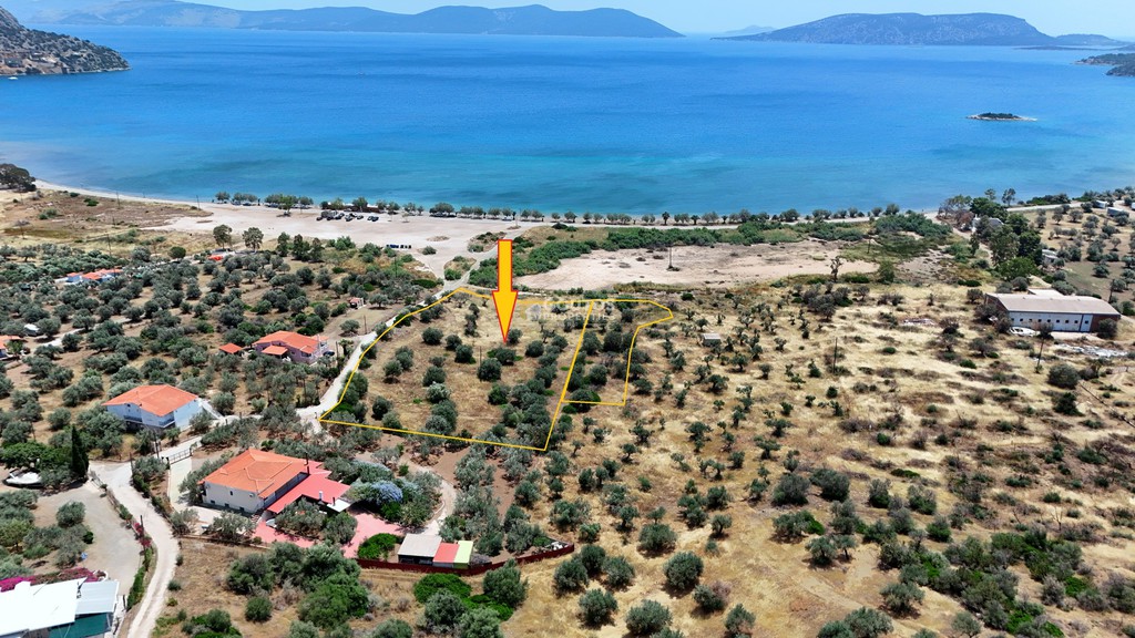 Αγροτεμάχια 8.504,29 τ.μ. πρός πώληση, Αργολίδα, Ερμιόνη